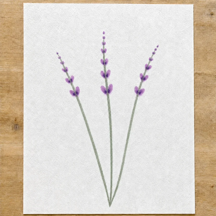 Lavendel, Schritt 4 von 5