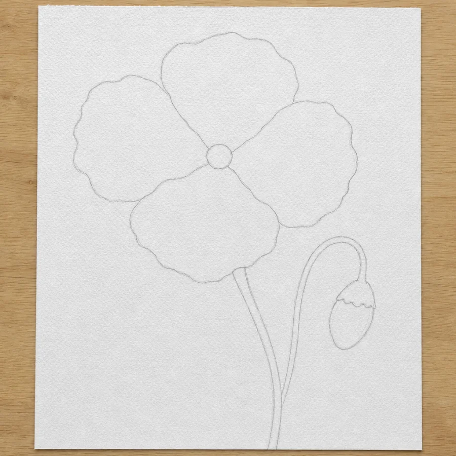 Mohnblume, Schritt 1 von 5