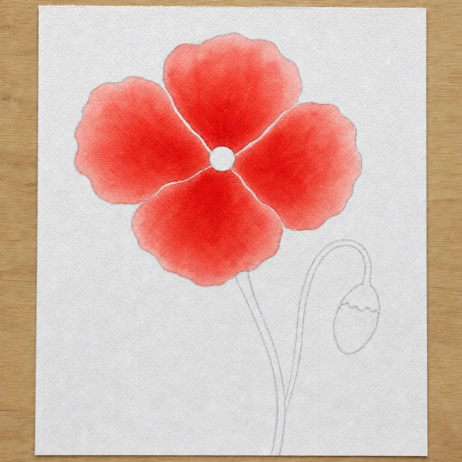 Mohnblume, Schritt 2 von 5