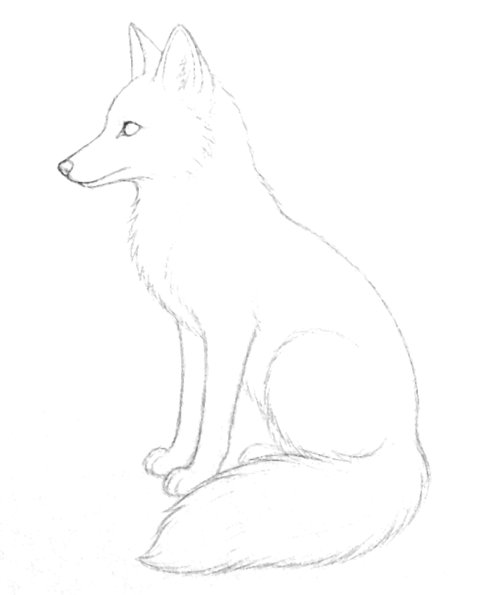Aquarell-Vorlage Fuchs als Bleistiftzeichnung zum Ausdrucken
