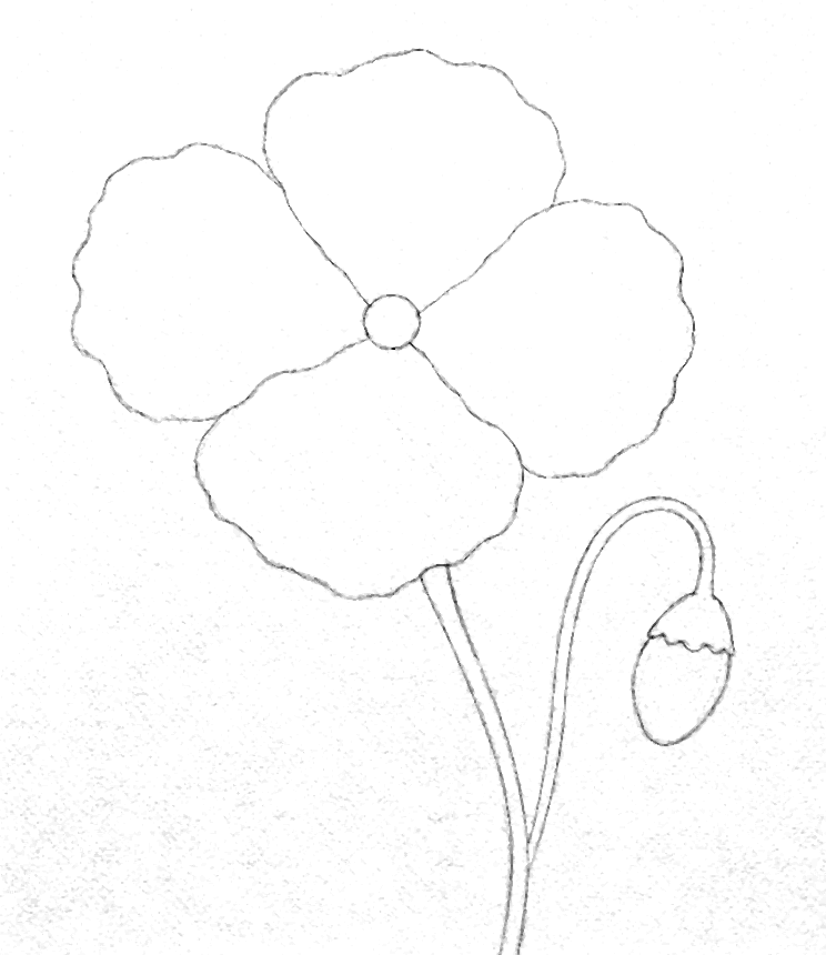 Aquarell-Vorlage Mohnblume als Bleistiftzeichnung zum Ausdrucken
