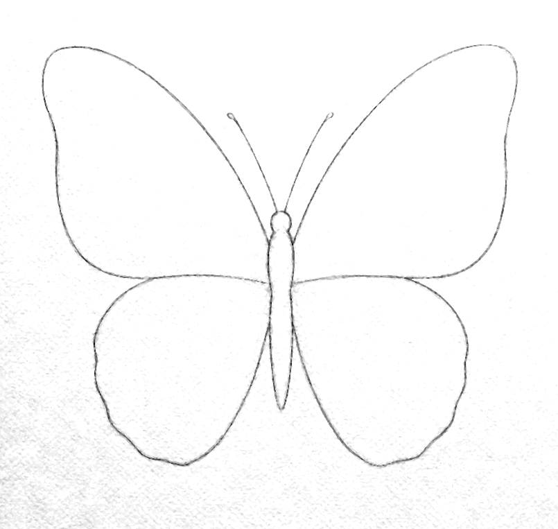 Aquarell-Vorlage Schmetterling als Bleistiftzeichnung zum Ausdrucken